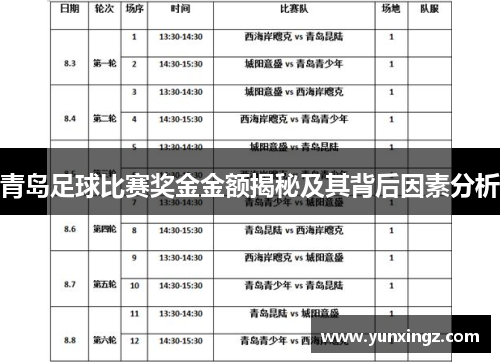 青岛足球比赛奖金金额揭秘及其背后因素分析